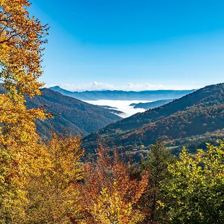 Les Ailliers Nyaraló